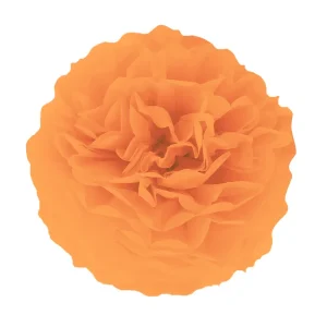 Оранжев помпон от тишу, 35 см