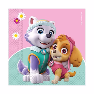 Салфетки PAW PATROL Skye and Everest, розови